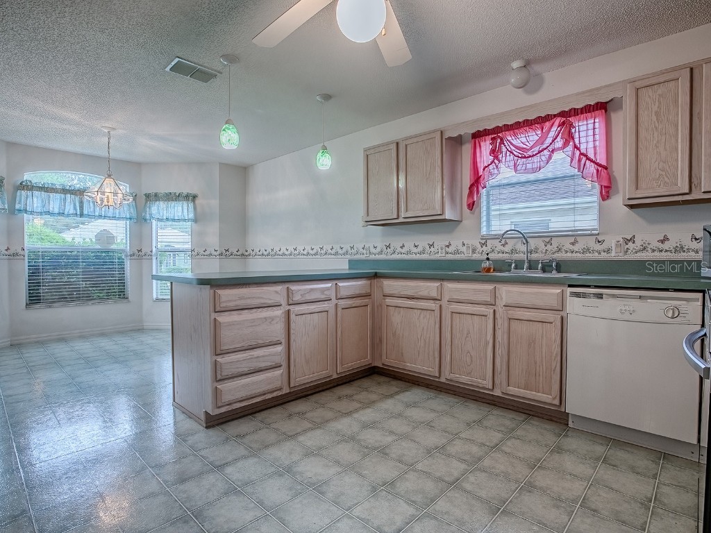 1107 San Antonio Lane The Villages FL 32159 G5098998 image7