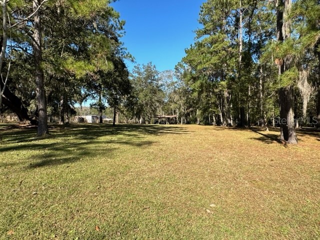 1107 Shadow Drive Brooksville FL 34601 - PRIVATE SPRING-FED POND W7850887 image1