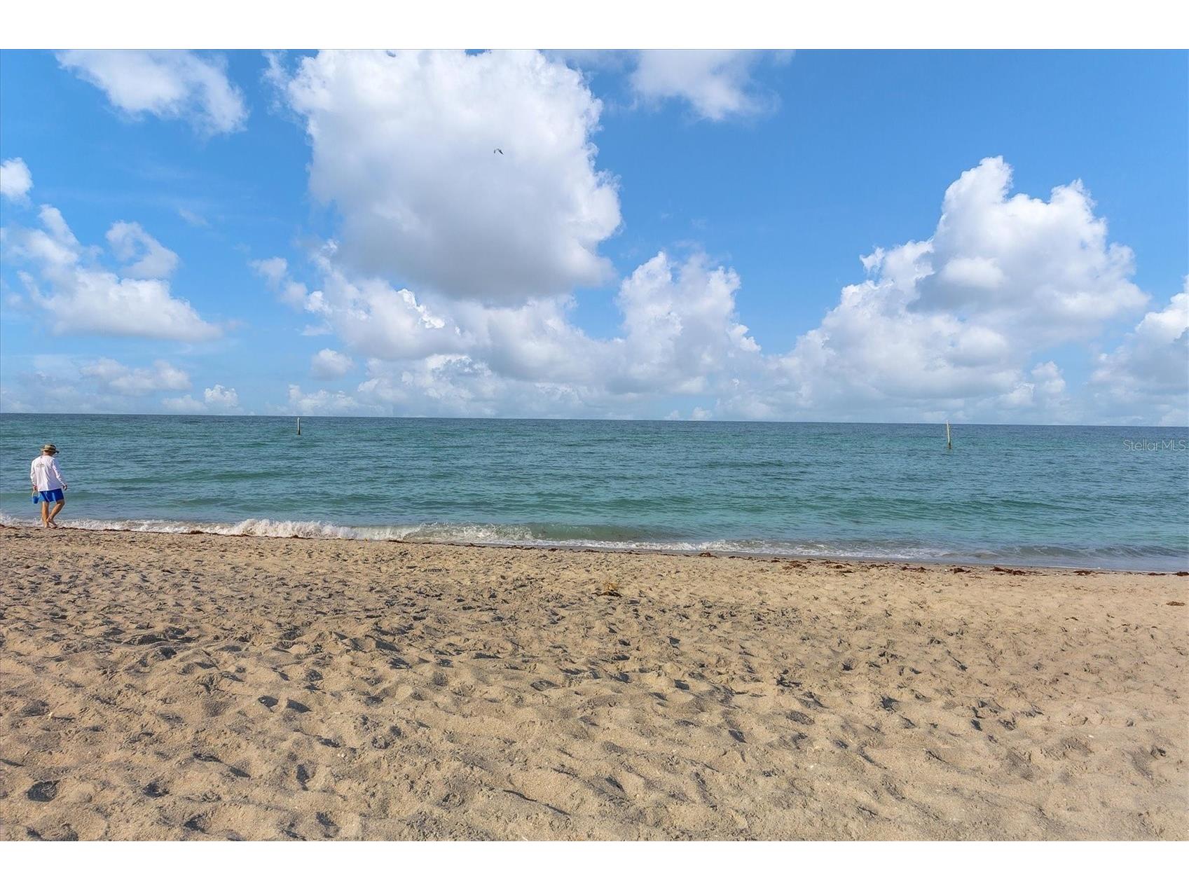 1107 Shore View Drive Englewood FL 34223 - GULF OF MEXICO A4658652 image62