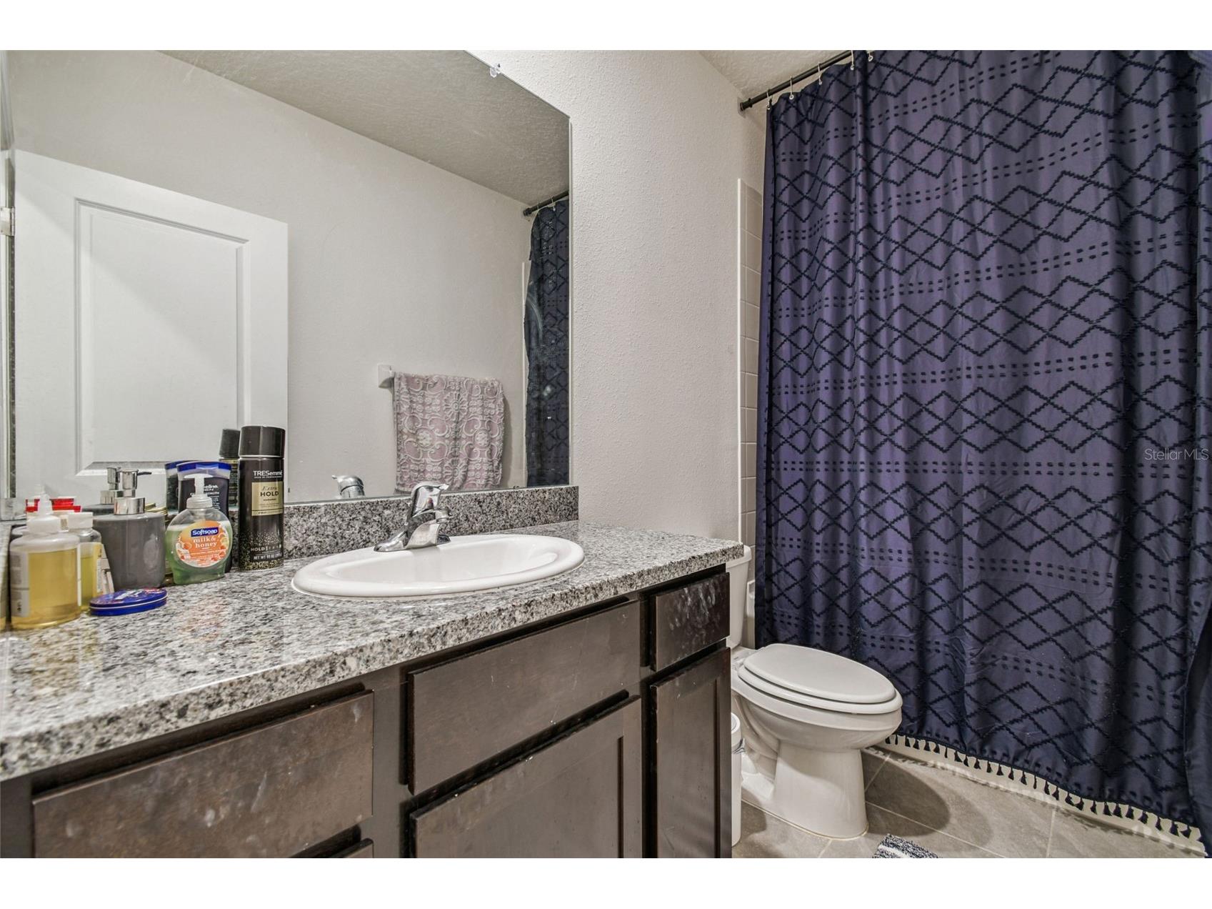 11070 Crescent Deer Drive Land O Lakes FL 34638 TB8457750 image38