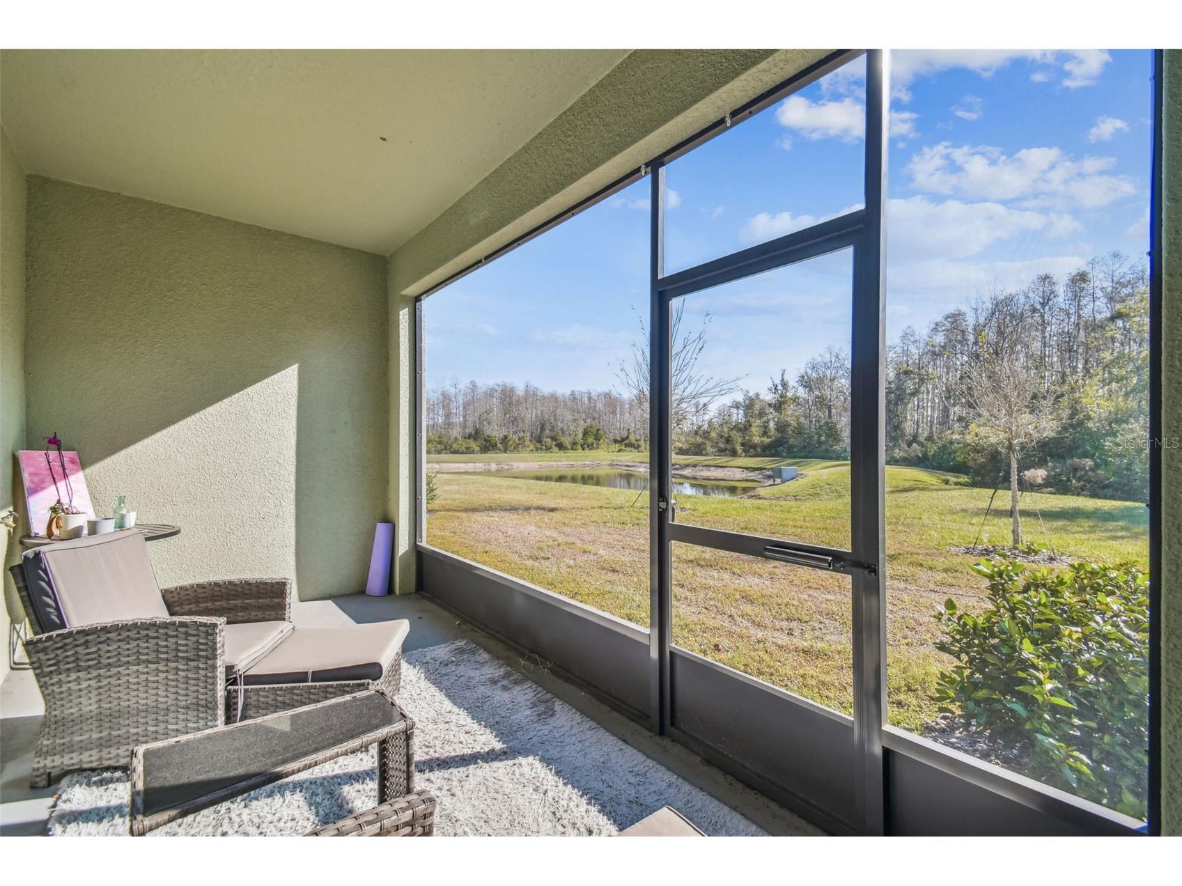 11070 Crescent Deer Drive Land O Lakes FL 34638 TB8457750 image42
