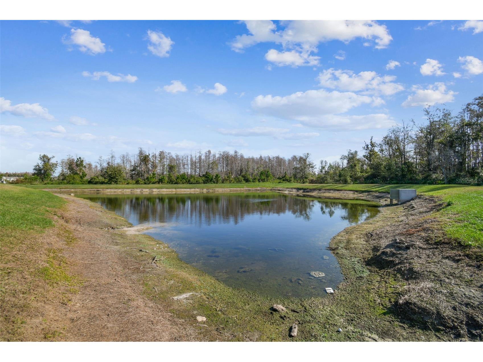 11070 Crescent Deer Drive Land O Lakes FL 34638 TB8457750 image45