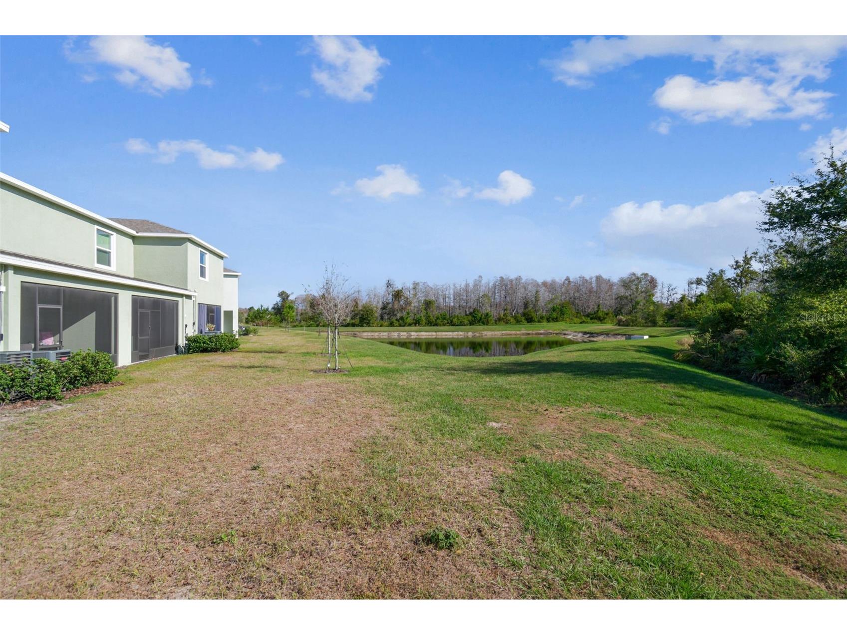 11070 Crescent Deer Drive Land O Lakes FL 34638 TB8457750 image48