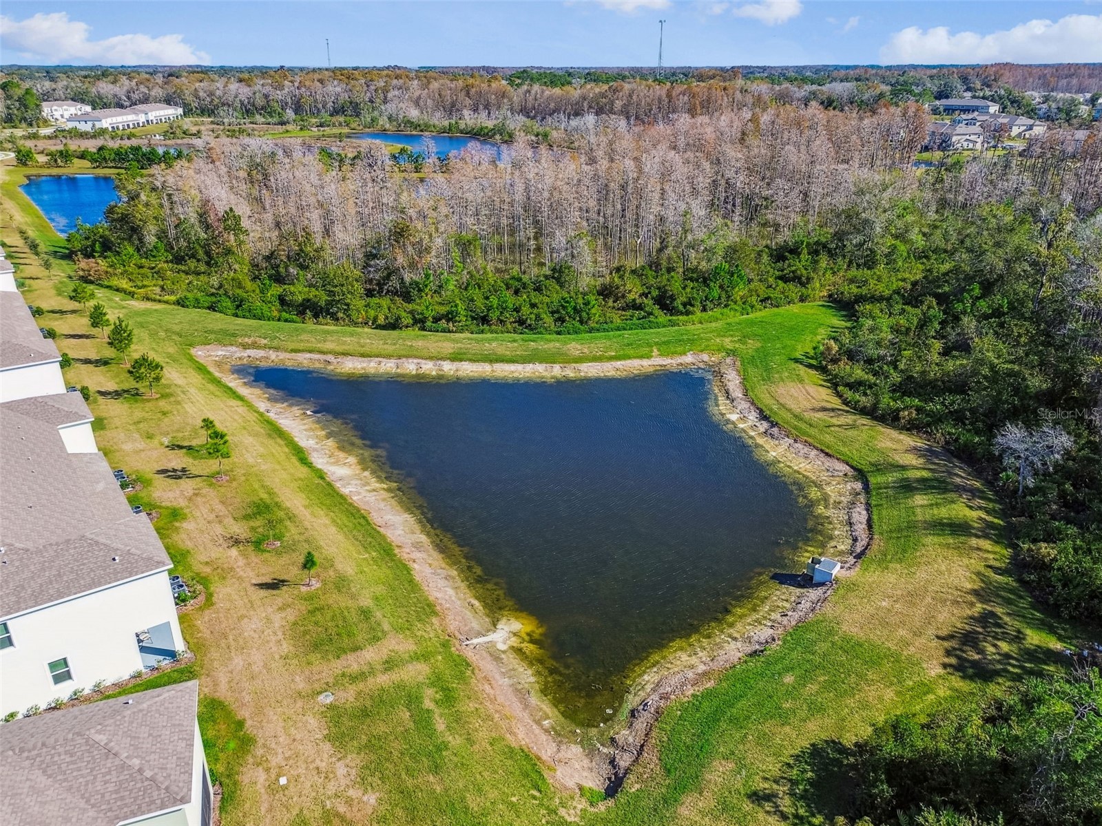 11070 Crescent Deer Drive Land O Lakes FL 34638 TB8457750 image56