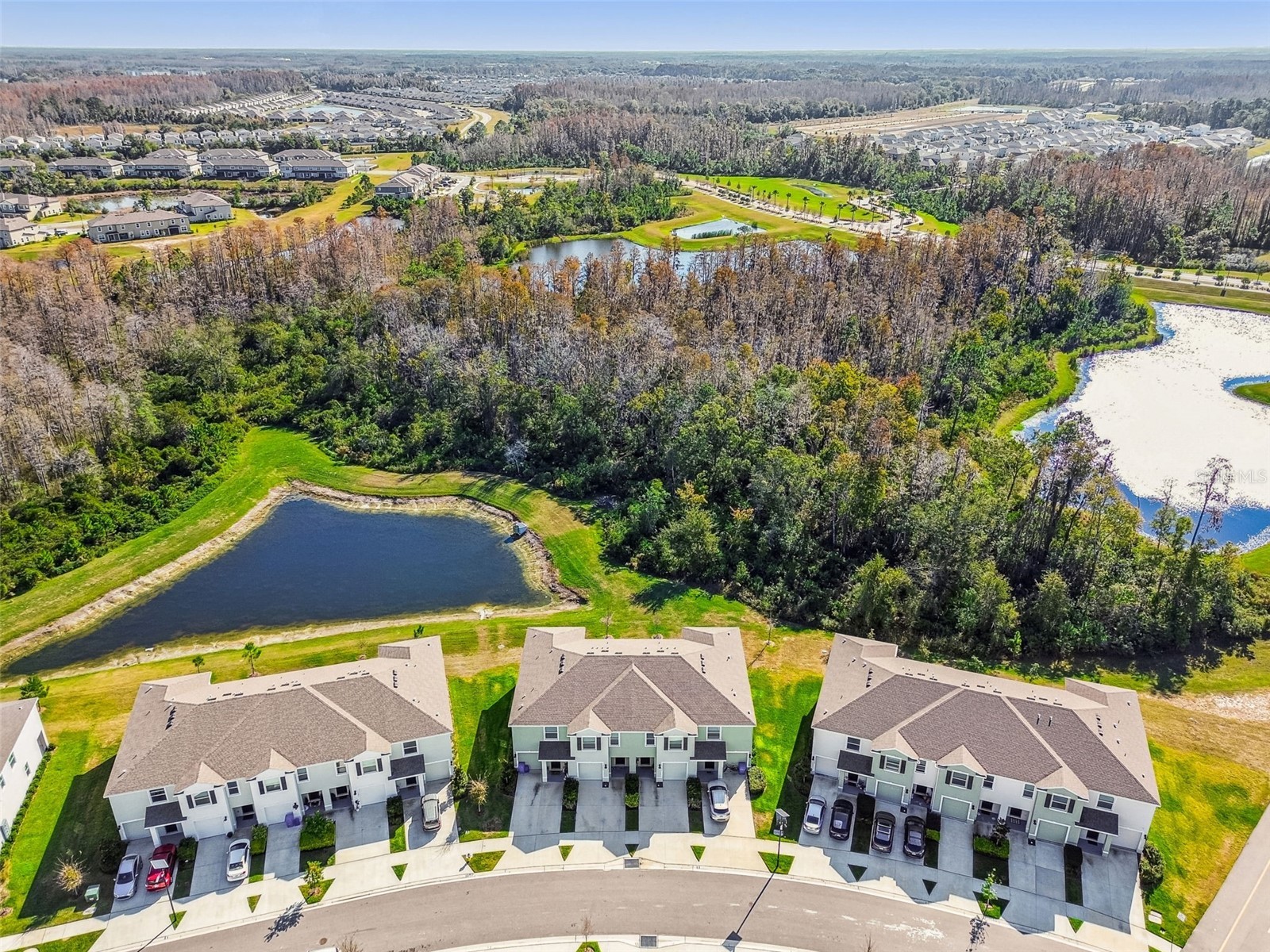 11070 Crescent Deer Drive Land O Lakes FL 34638 TB8457750 image65