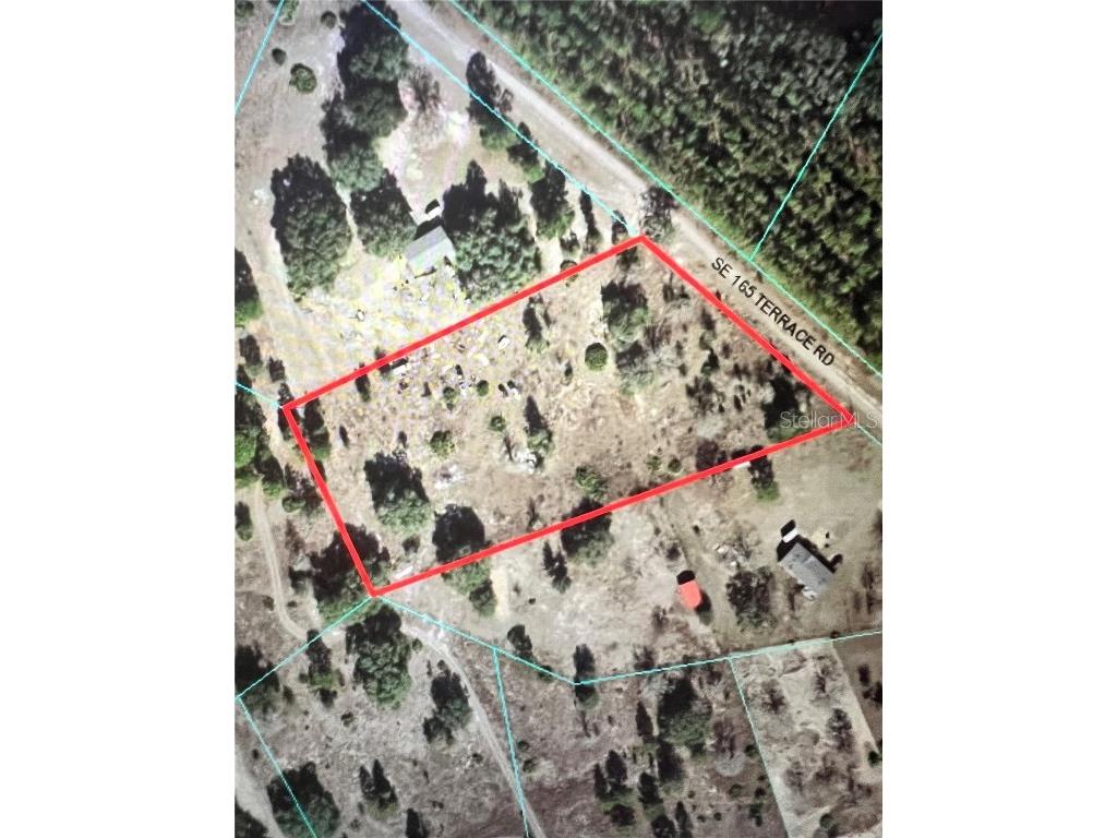 11070 SE 165th Terrace Road Ocklawaha FL 32179 OM667975 image1