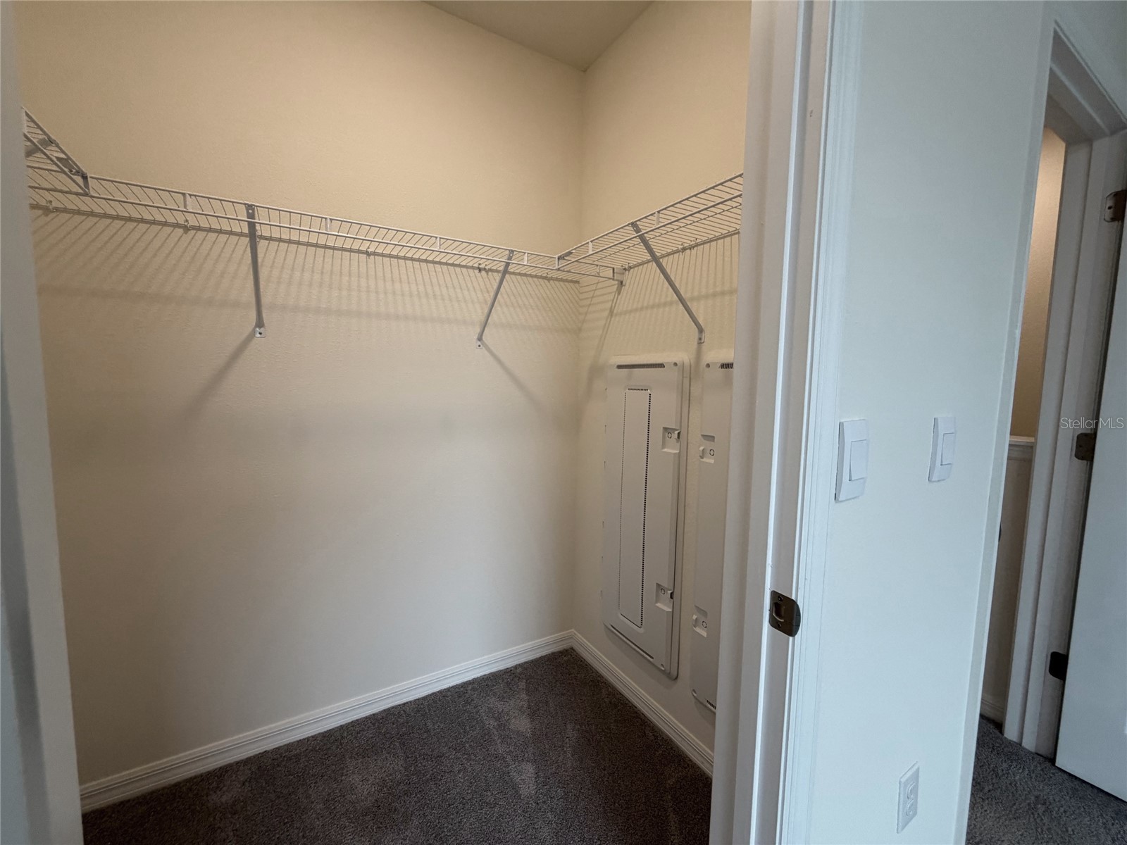 11071 Crescent Deer Drive Land O Lakes FL 34638 TB8505104 image29