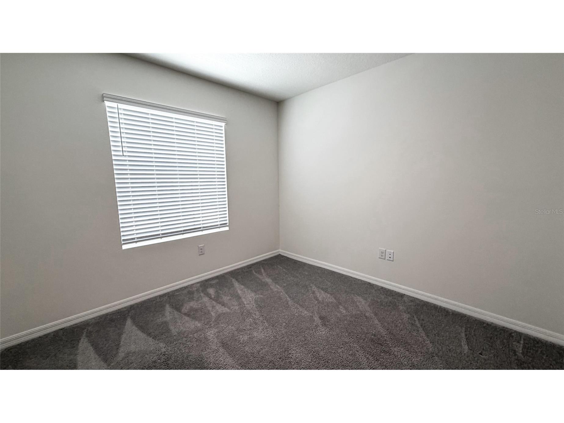 11071 Crescent Deer Drive Land O Lakes FL 34638 TB8505104 image37