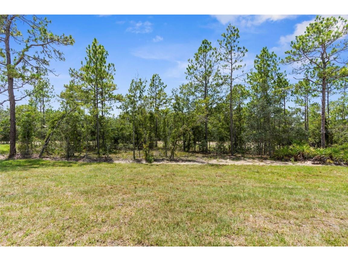 11072 Horned Owl Road Weeki Wachee FL 34614 W7880893 image49