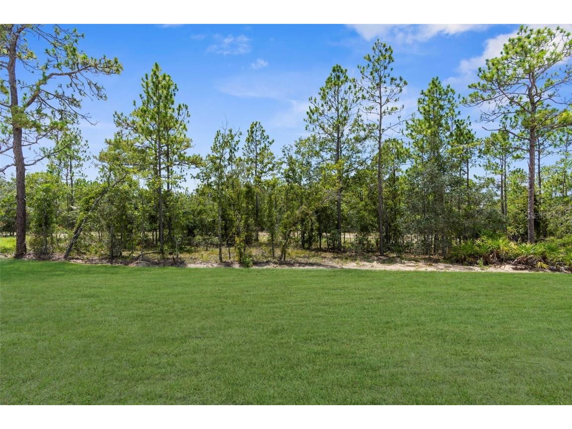 11072 Horned Owl Road Weeki Wachee FL 34614 W7880893 image50