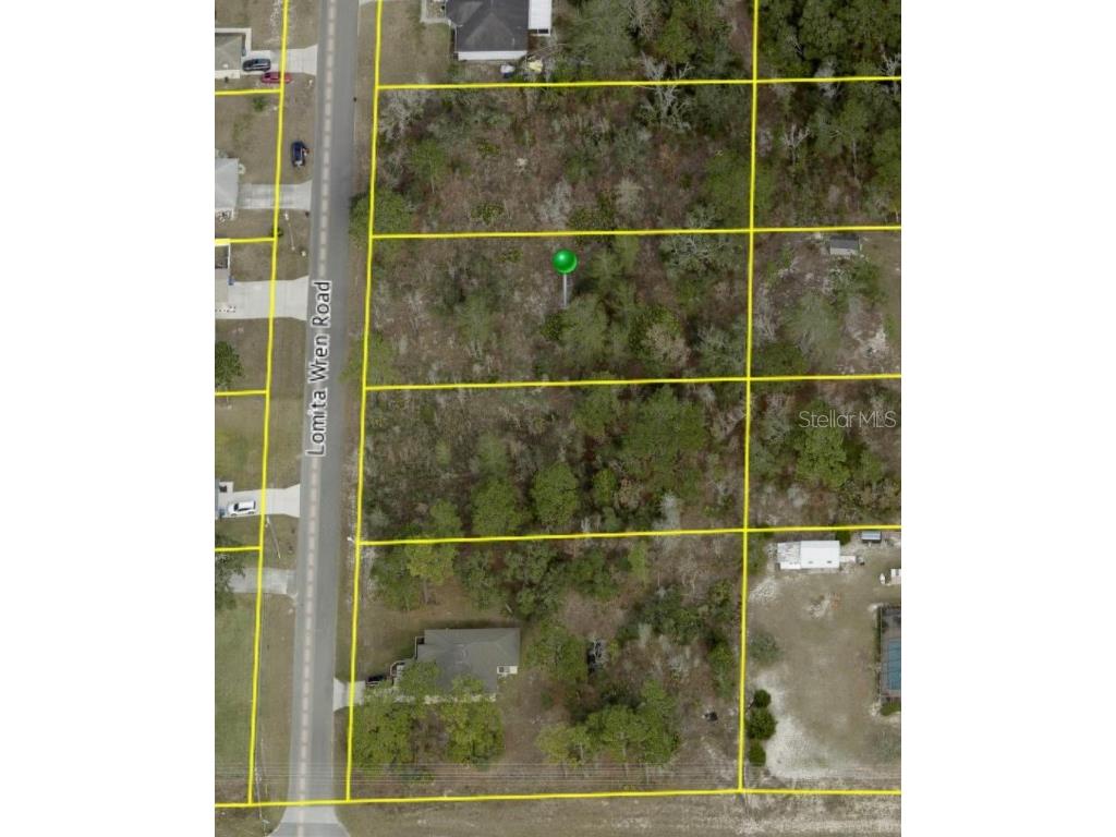 11074 Lomita Wren Road Weeki Wachee FL 34614 U8205686 image1