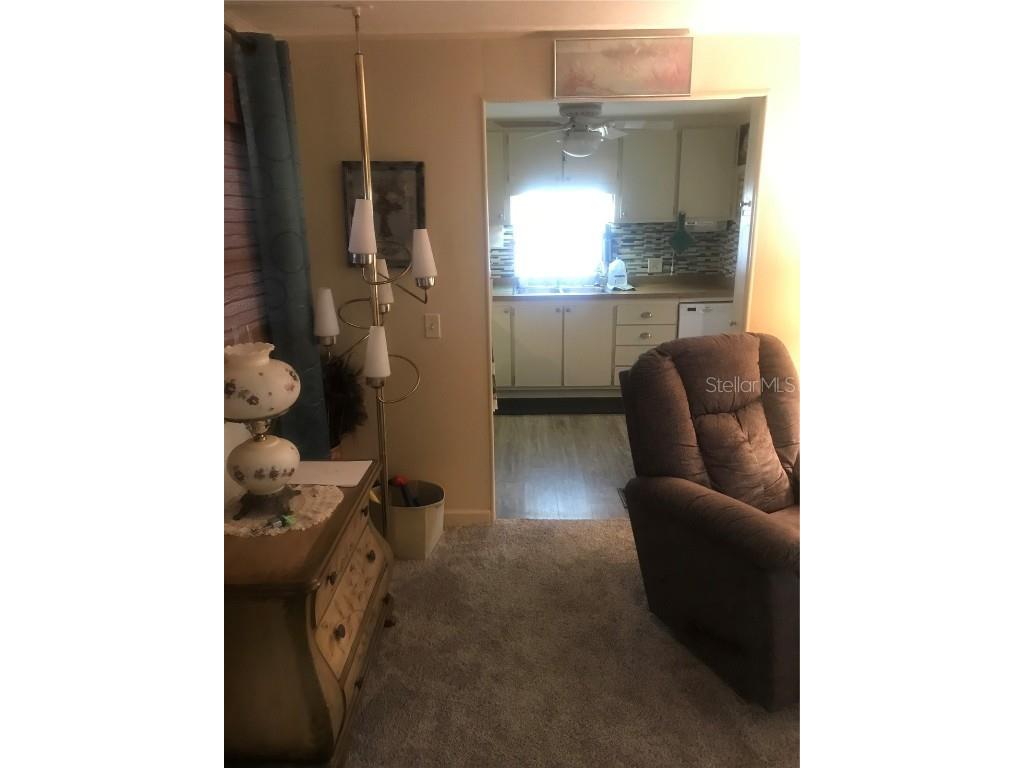 11076 100th Street #41 Largo FL 33773 - LAKE SEMINOLE TB8445193 image11