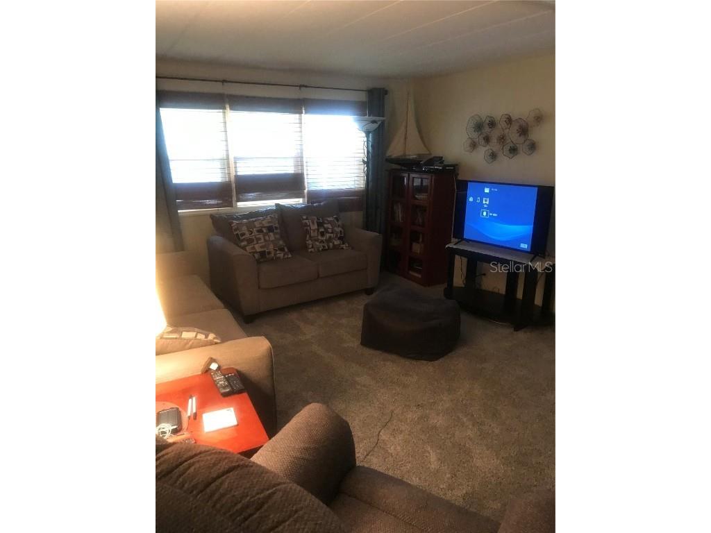 11076 100th Street #41 Largo FL 33773 - LAKE SEMINOLE TB8445193 image13