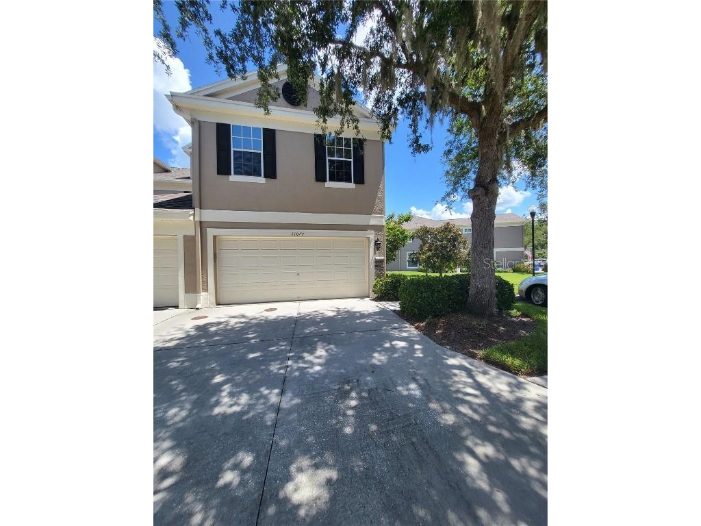 11077 Windsor Place Circle Tampa FL 33626 T3551304 image1