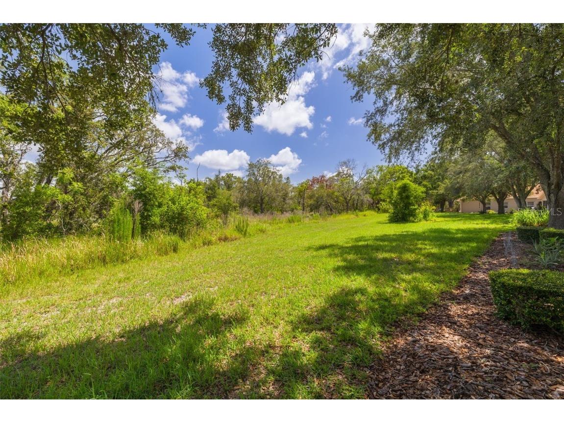 11078 Heathrow Avenue Spring Hill FL 34609 TB8394515 image25