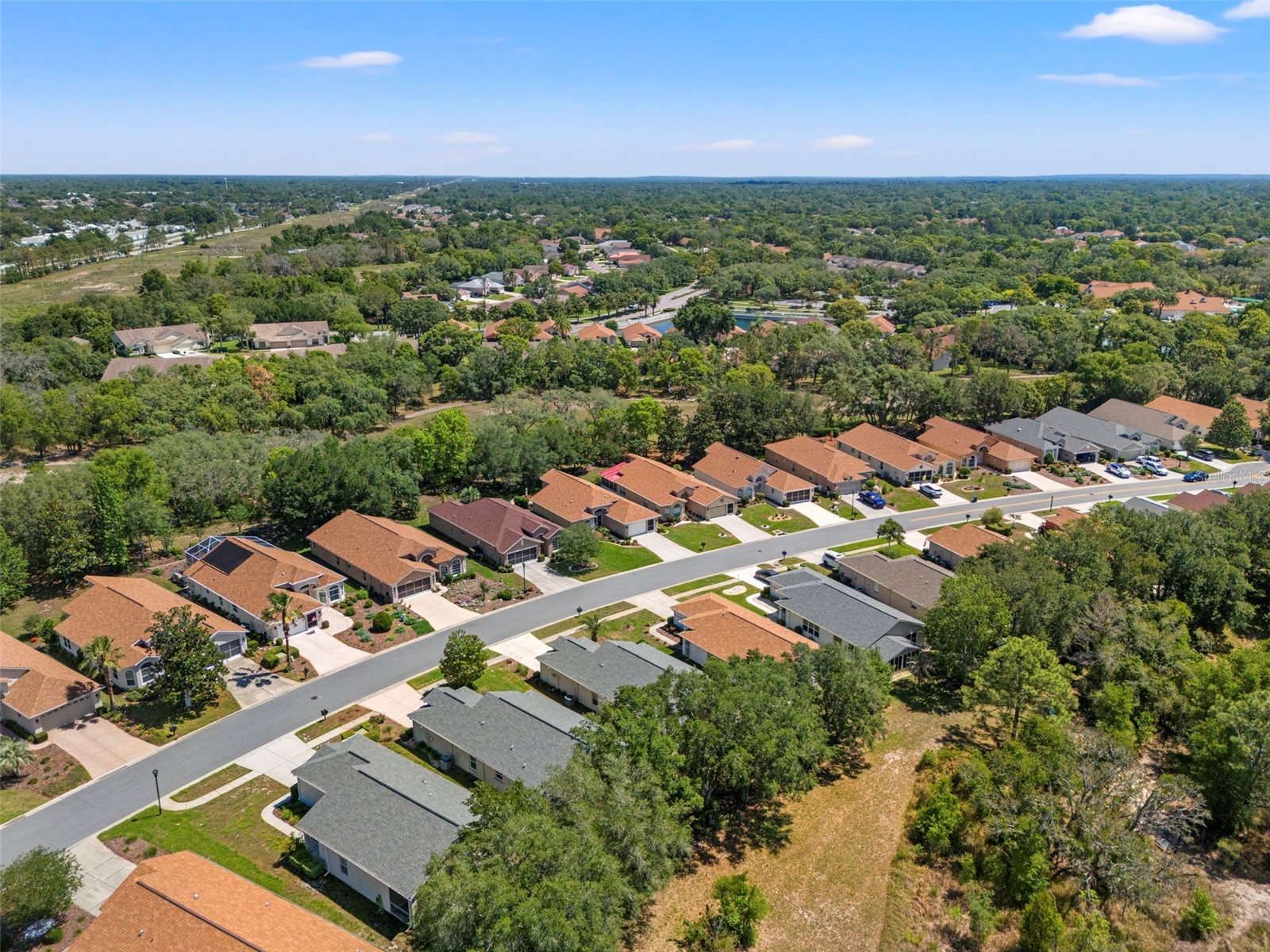 11078 Heathrow Spring Hill FL 34609 TB8510397 image59