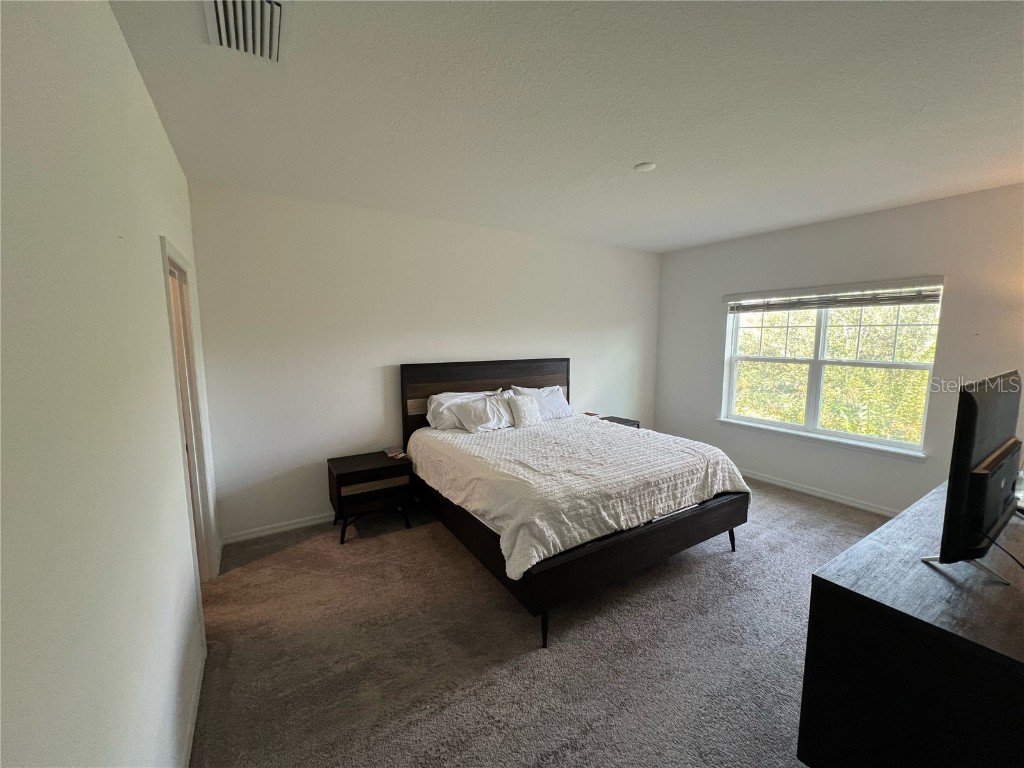 11079 Hanlon Terrace Alley Winter Garden FL 34787 O6358387 image10