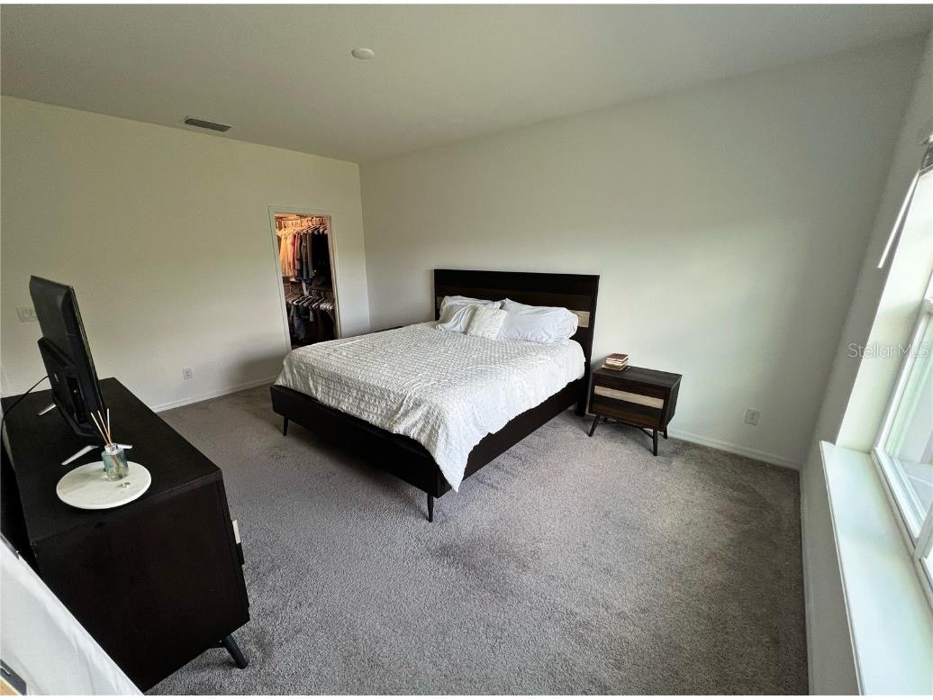 11079 Hanlon Terrace Alley Winter Garden FL 34787 O6358387 image11