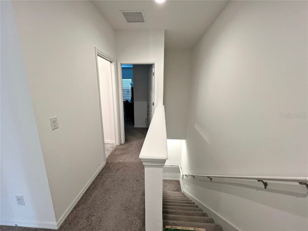 11079 Hanlon Terrace Alley Winter Garden FL 34787 O6358387 image14