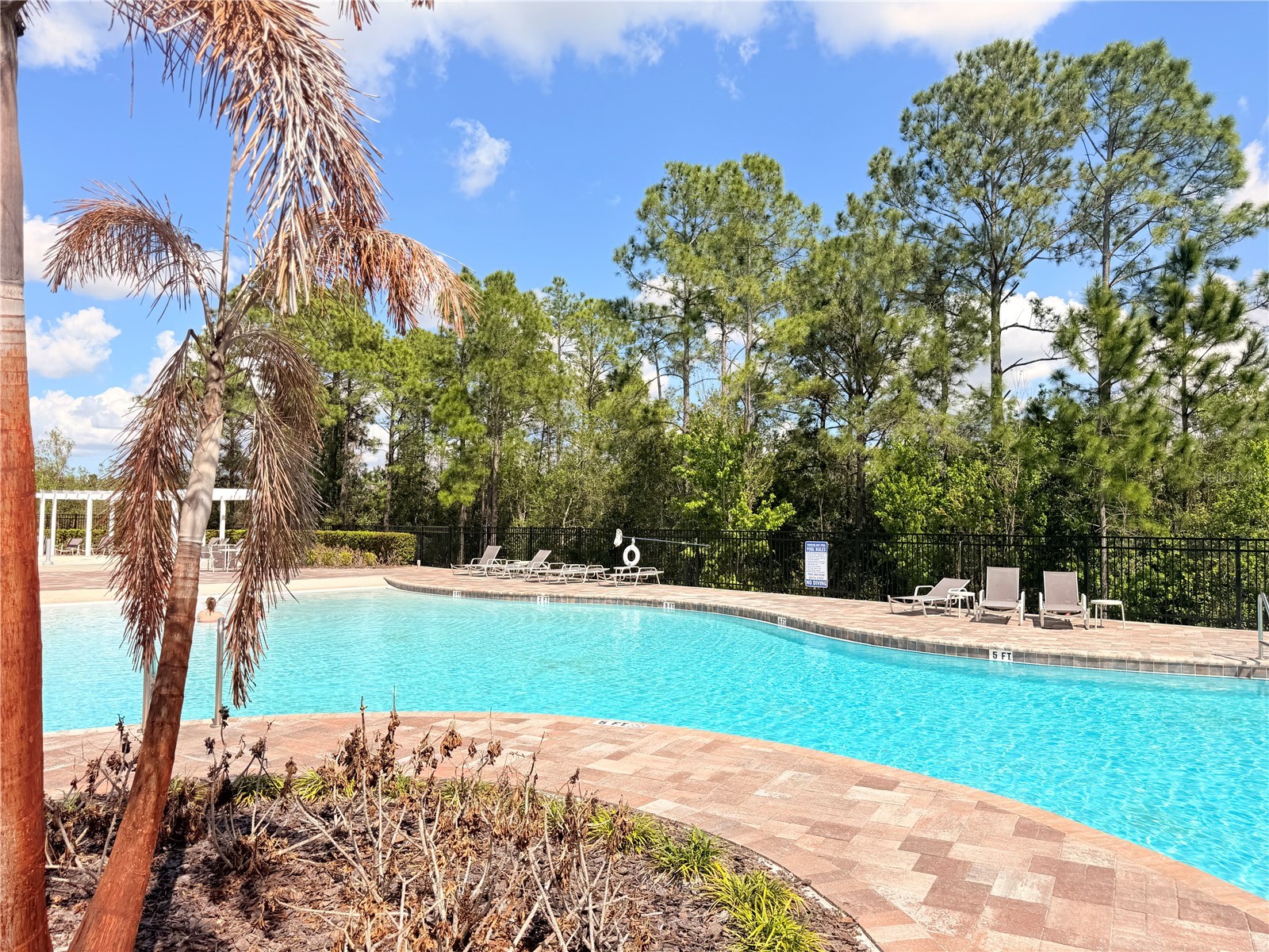 11079 Hanlon Terrace Alley Winter Garden FL 34787 O6358387 image21
