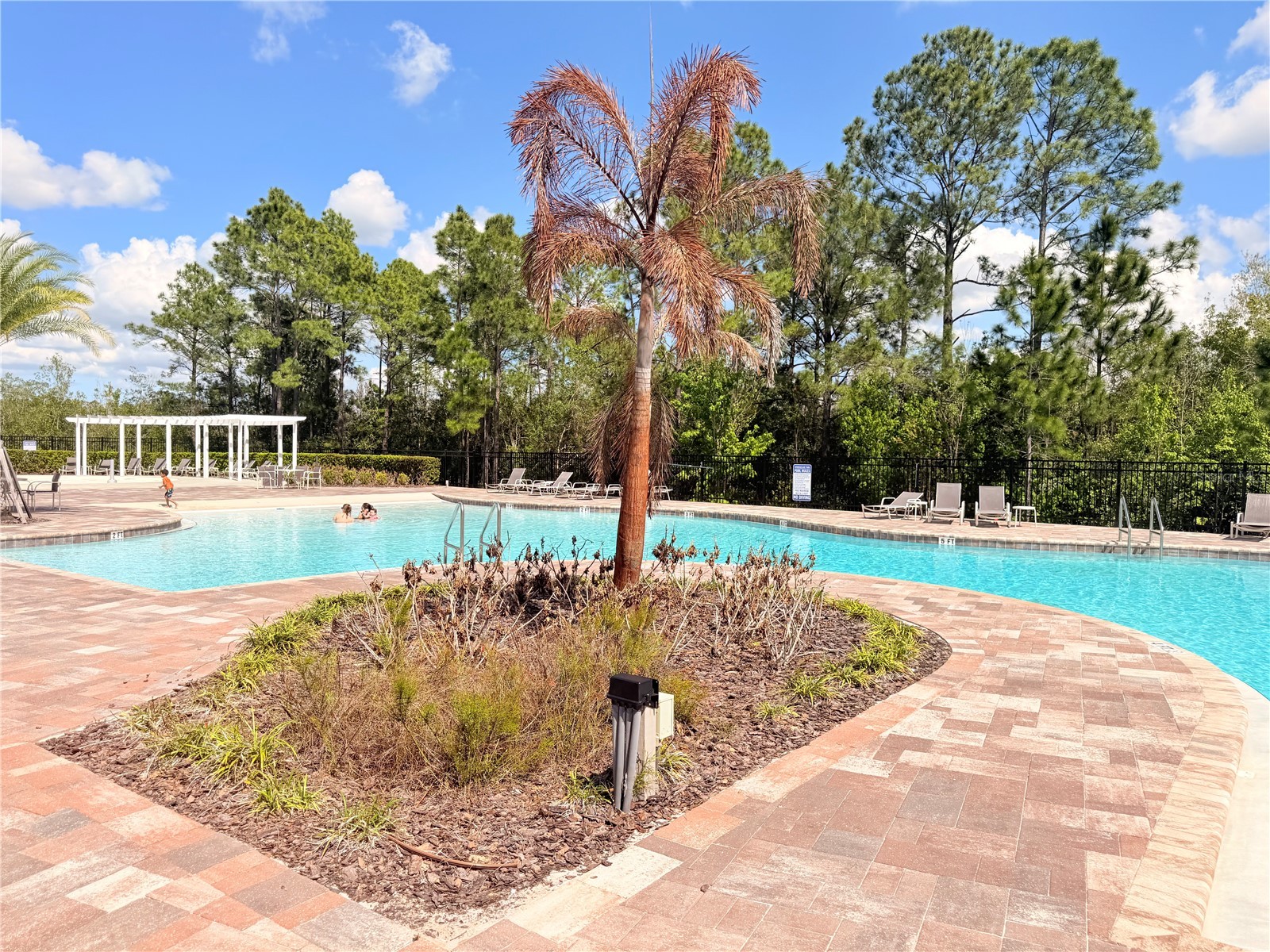 11079 Hanlon Terrace Alley Winter Garden FL 34787 O6358387 image22