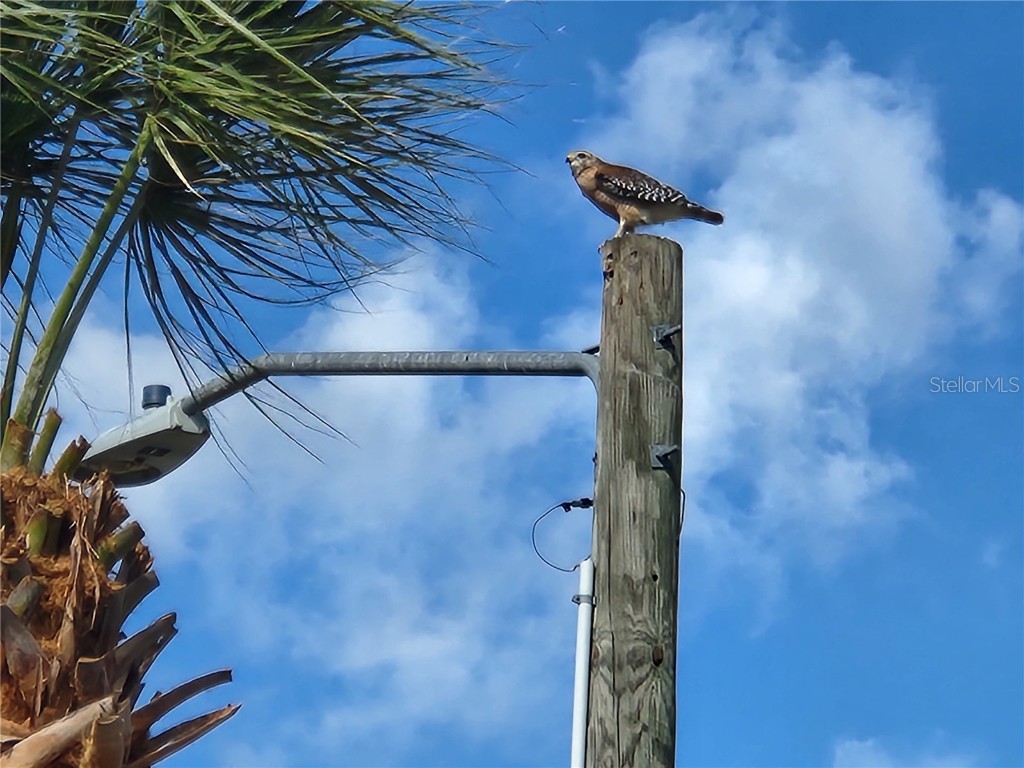 1108 Apple Terrace Leesburg FL 34748 G5098060 image47