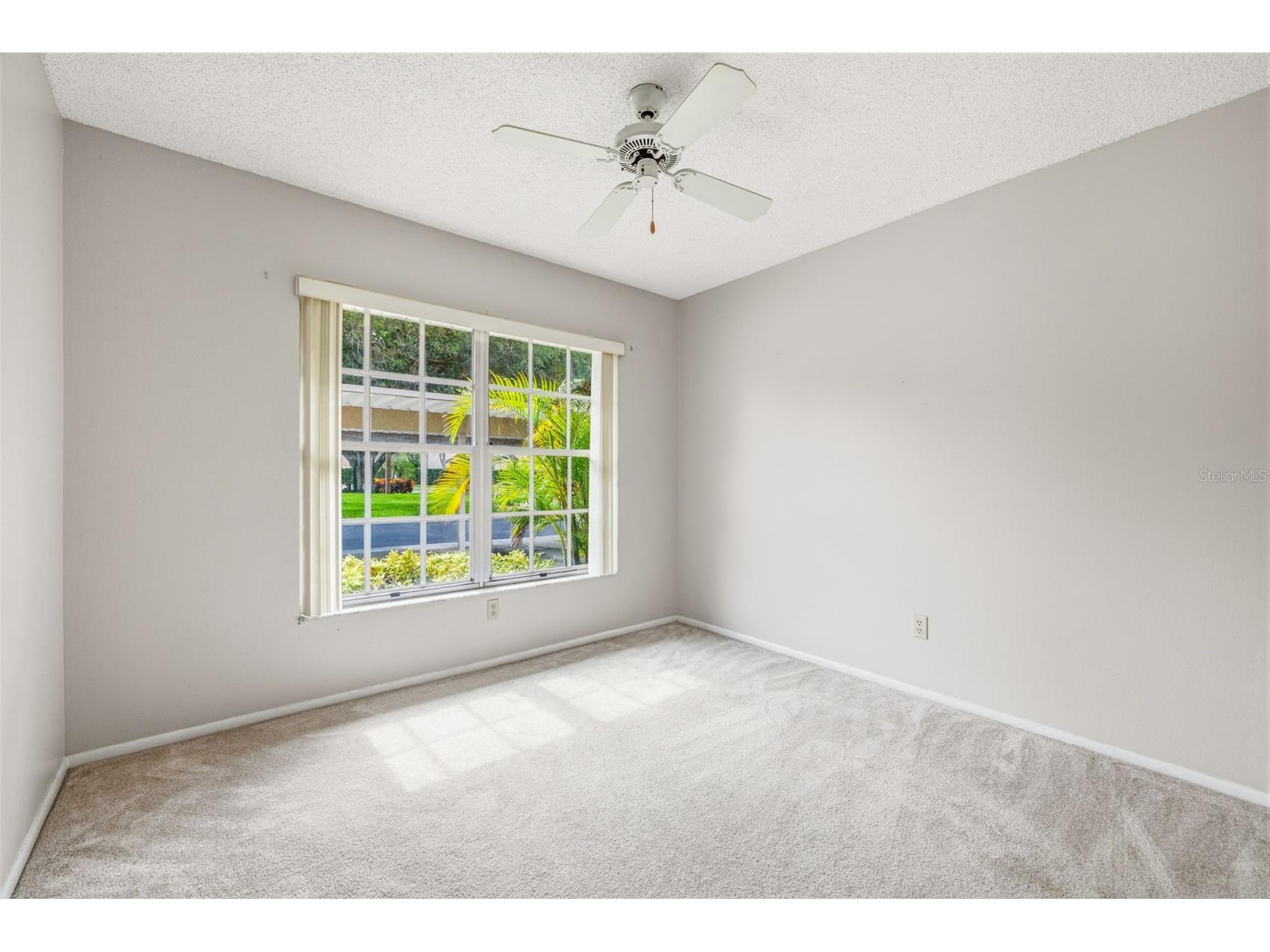 1108 Castlemay Circle #1075 Dunedin FL 34698 TB8527615 image15