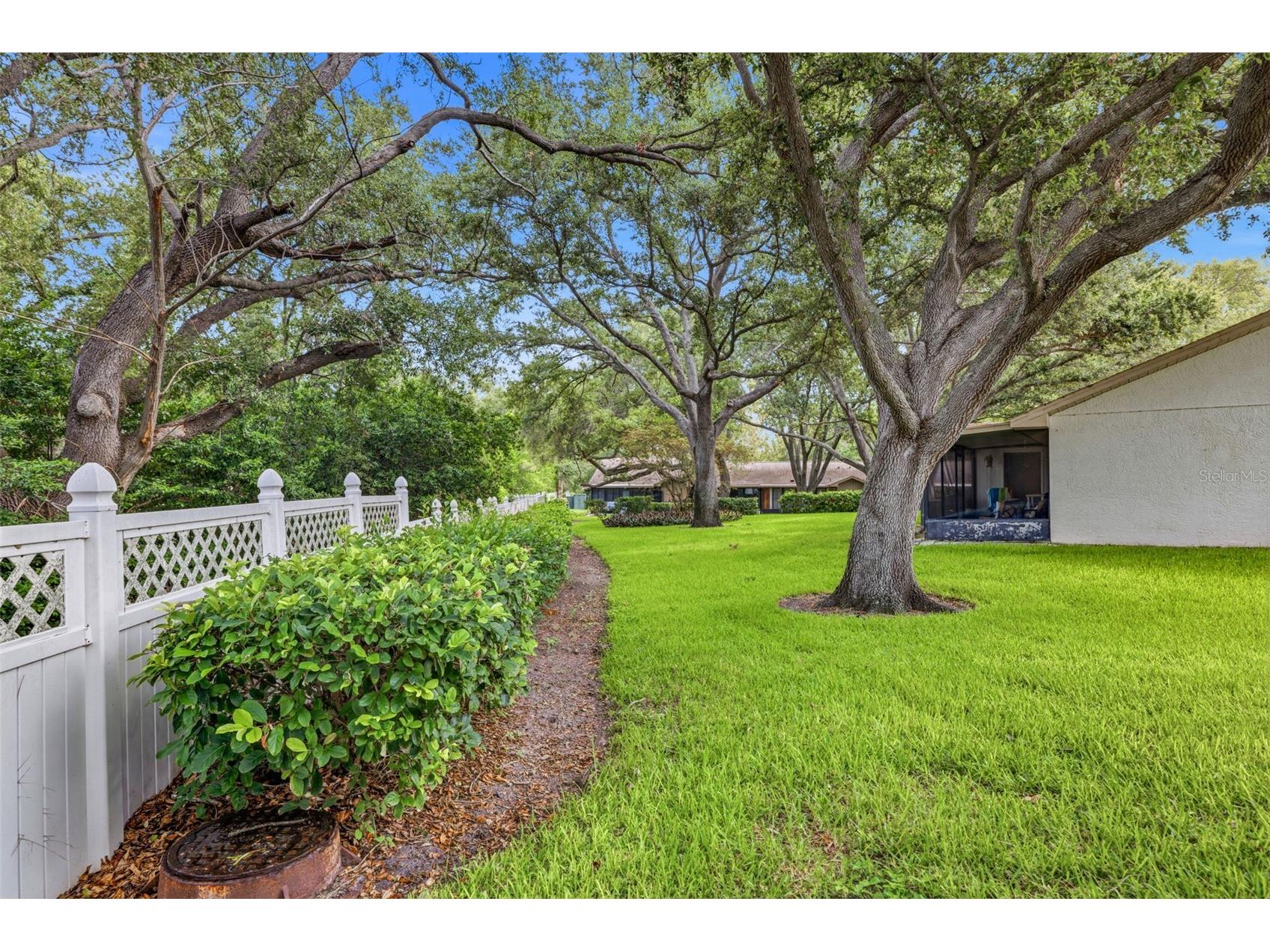 1108 Castlemay Circle #1075 Dunedin FL 34698 TB8527615 image24