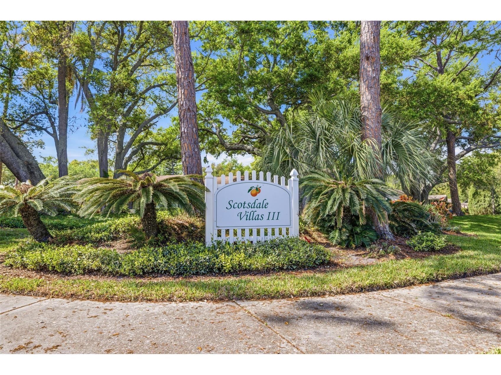 1108 Castlemay Circle #1075 Dunedin FL 34698 TB8527615 image35