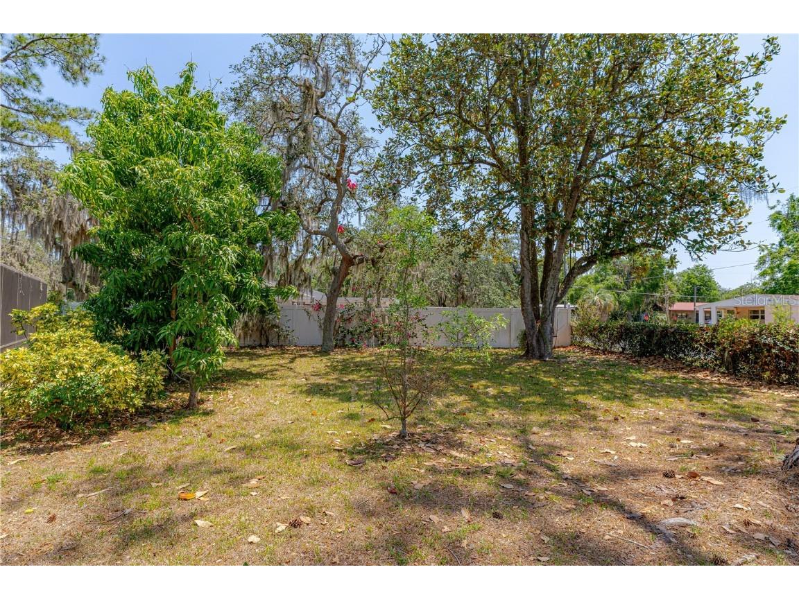 1108 Gibson Street Leesburg FL 34748 O6305456 image28