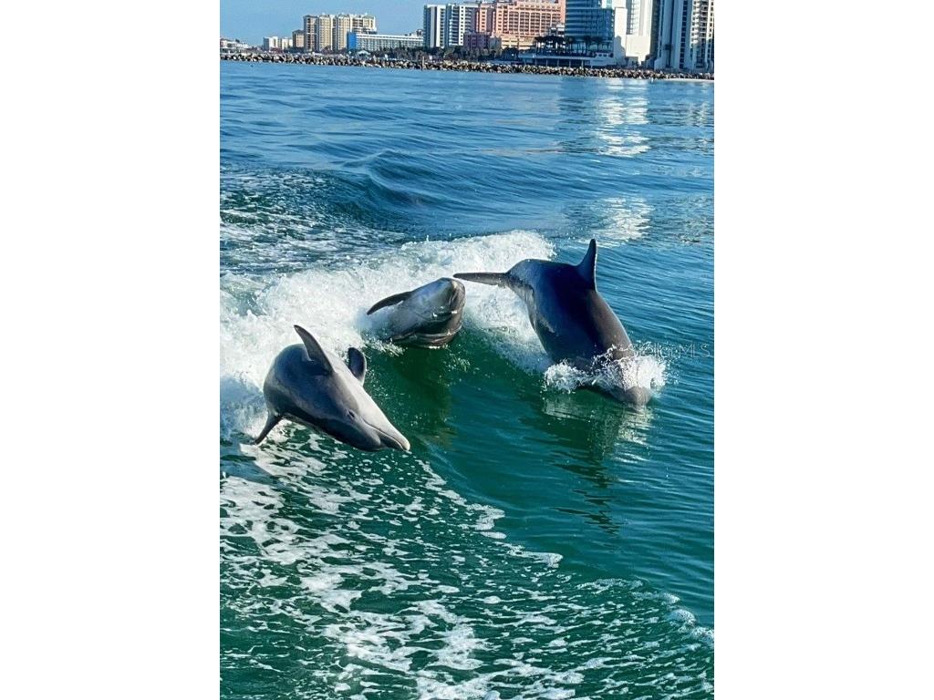 1108 March Drive Port Charlotte FL 33953 C7514376 image18