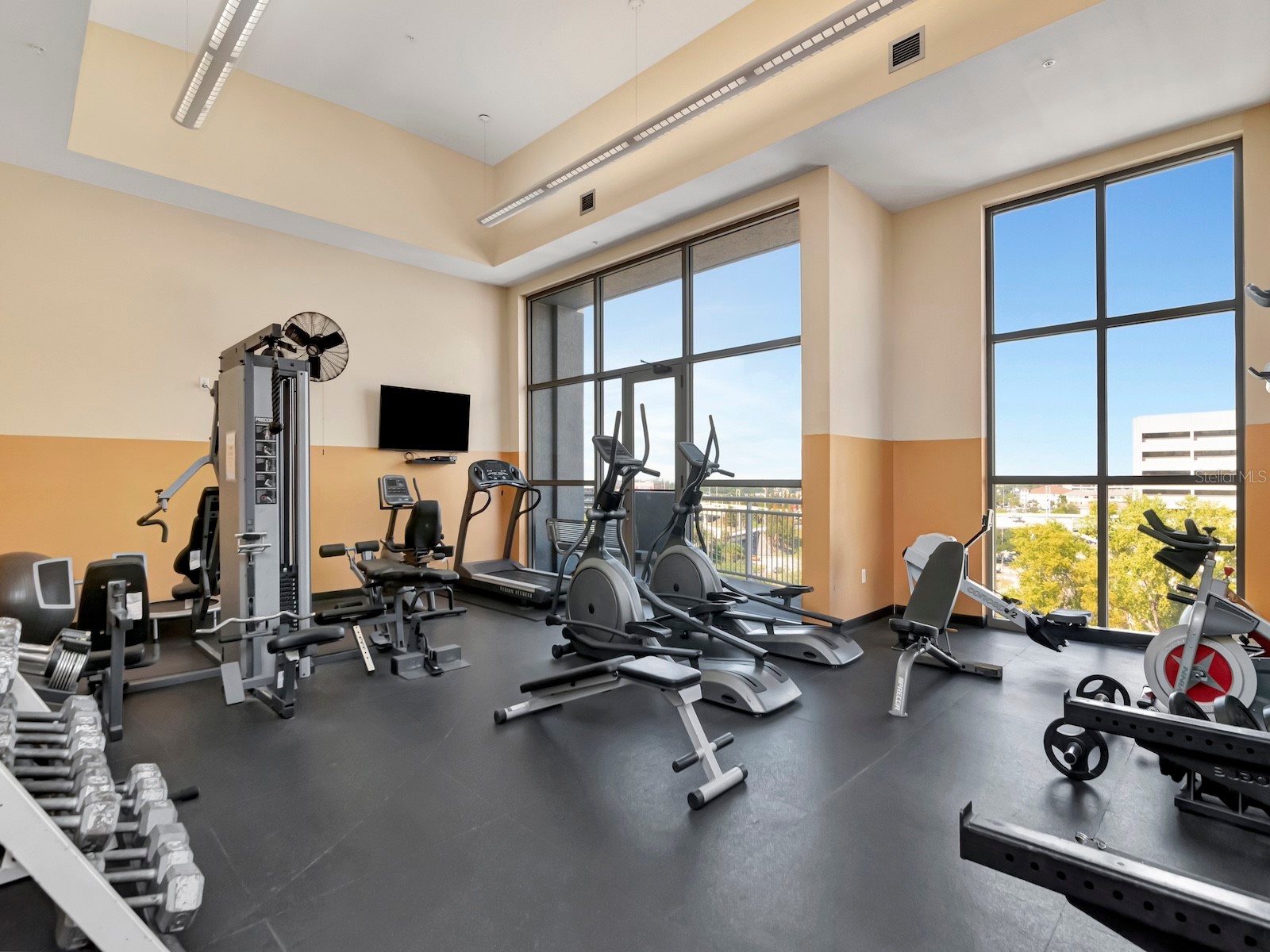 1108 N Franklin Street #605 Tampa FL 33602 TB8440716 image38