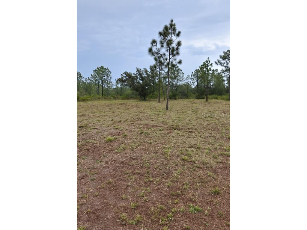 1108 Palm Avenue Indian Lake Estates FL 33855 C7514094 image1