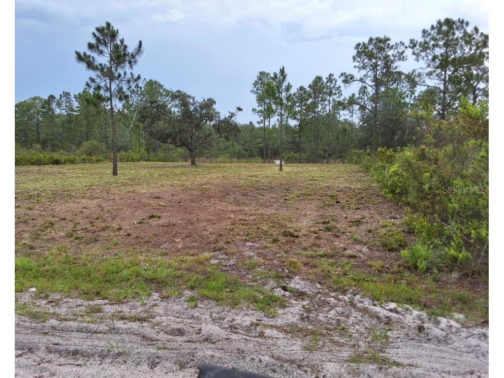 1108 Palm Avenue Indian Lake Estates FL 33855 C7514094 image2