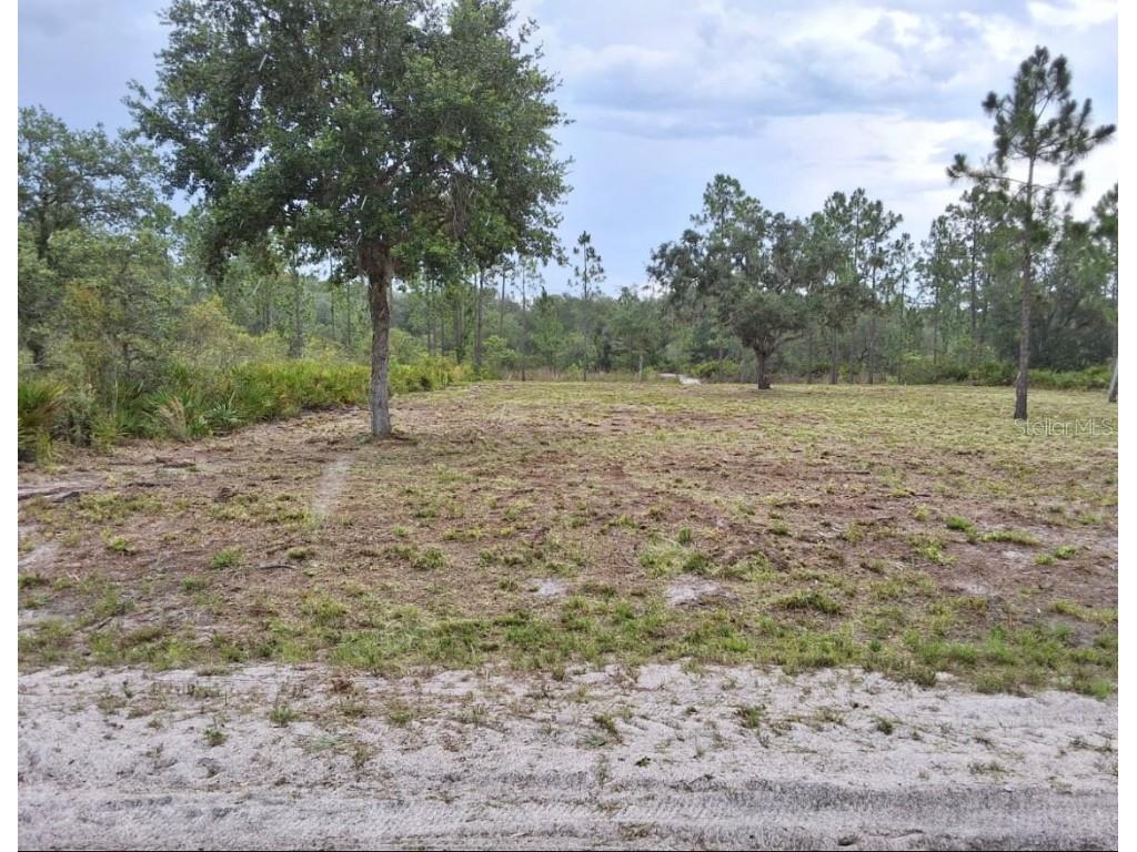 1108 Palm Avenue Indian Lake Estates FL 33855 C7514094 image3