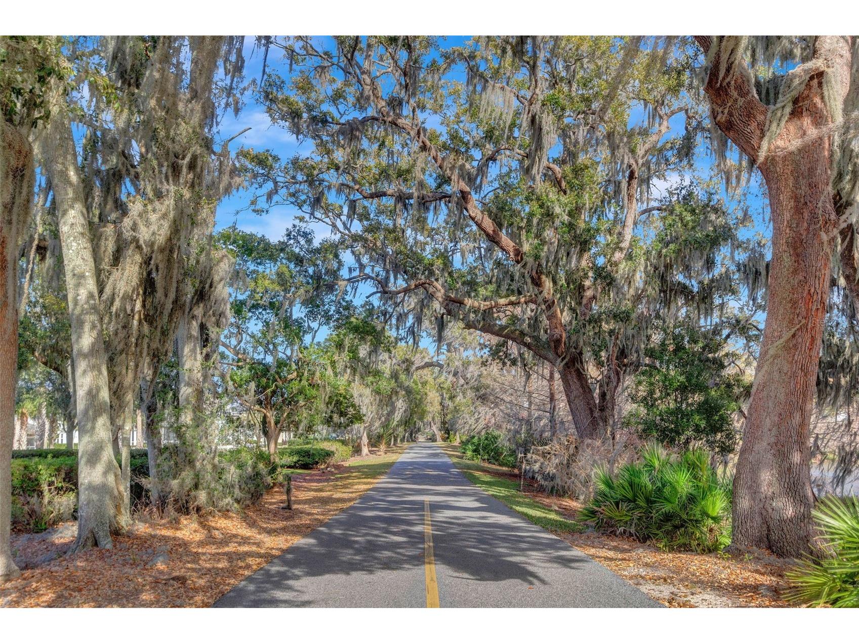 1108 Riverway Drive Oakland FL 34787 O6407380 image70