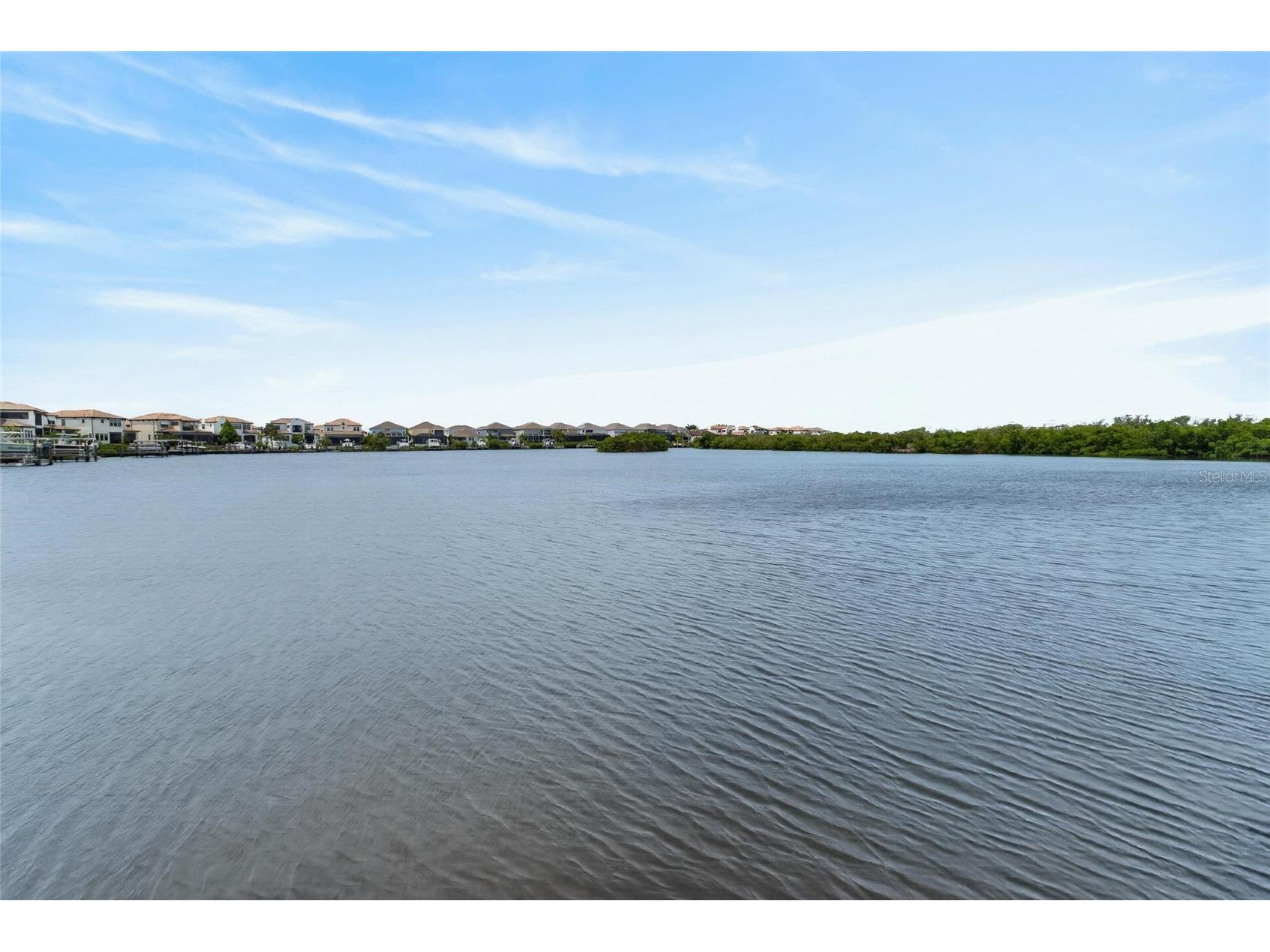 1108 Seagrape Drive Ruskin FL 33570 TB8514726 image61