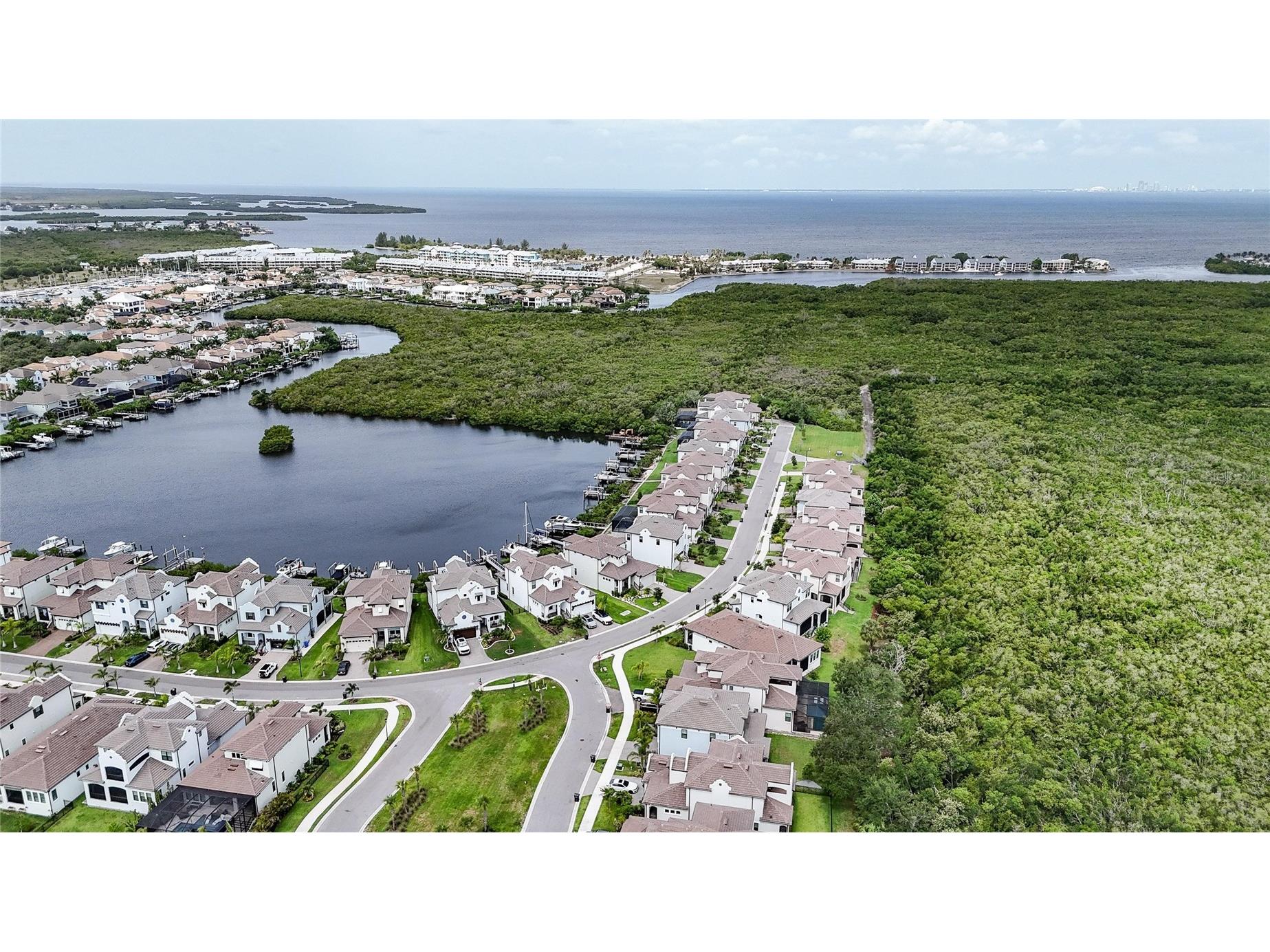 1108 Seagrape Drive Ruskin FL 33570 TB8514726 image68