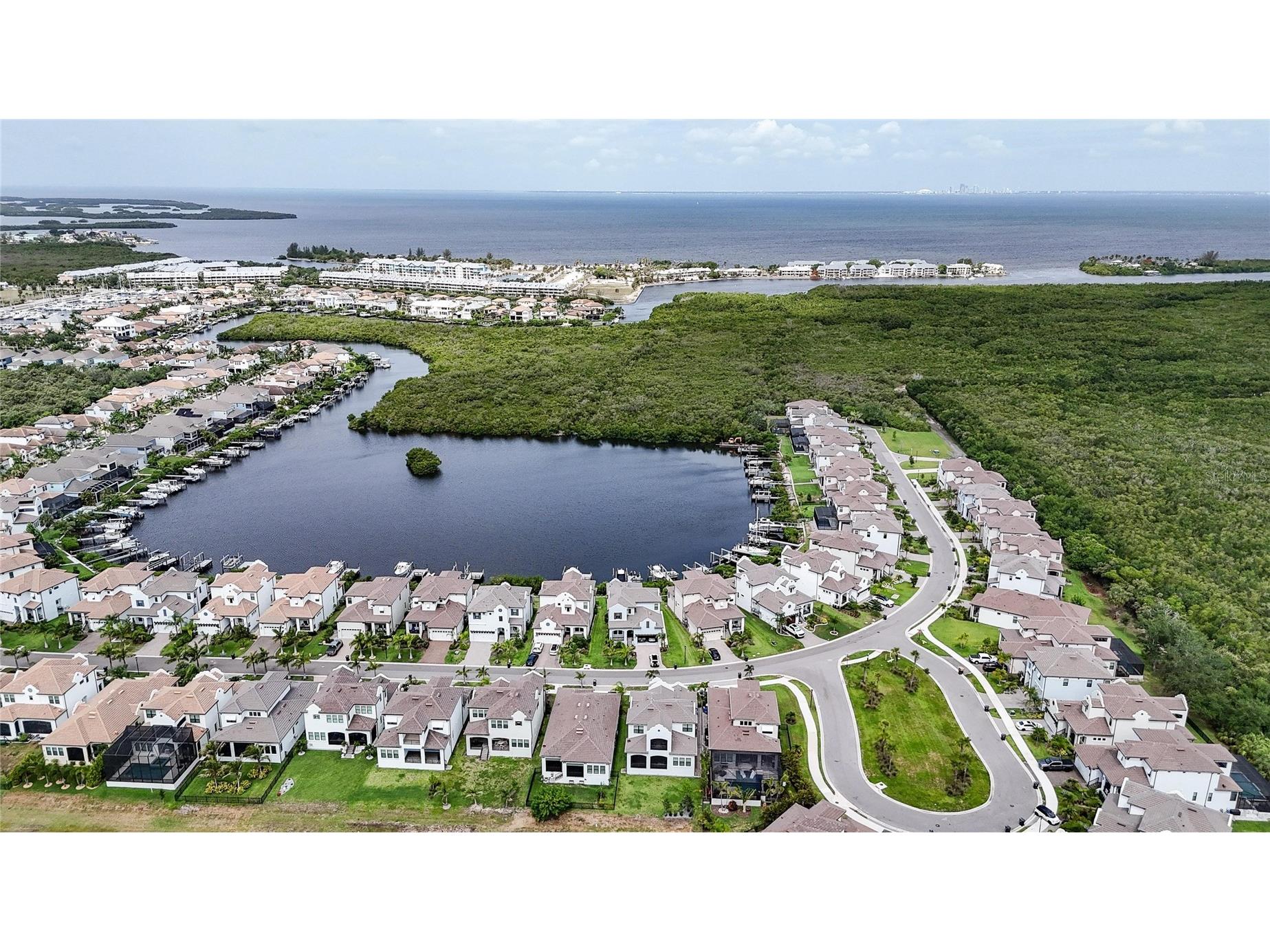 1108 Seagrape Drive Ruskin FL 33570 TB8514726 image71