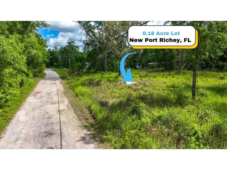 11080 Cordel Street New Port Richey FL 34654 A4649633 image1