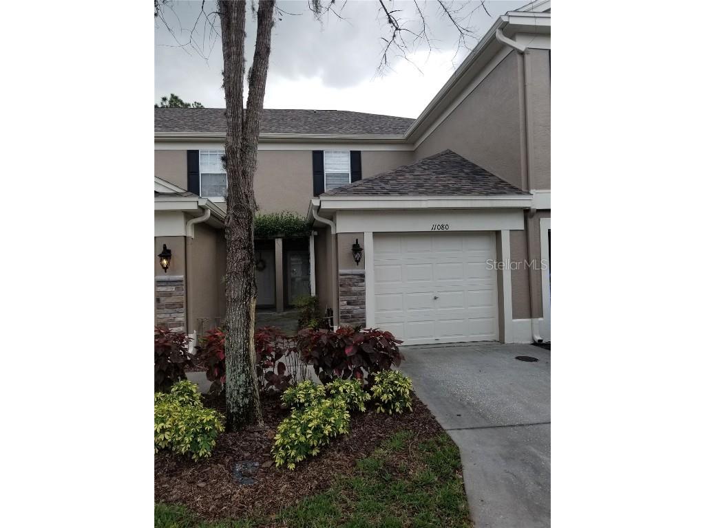 11080 Windsor Place Circle Tampa FL 33626 T3450367 image1