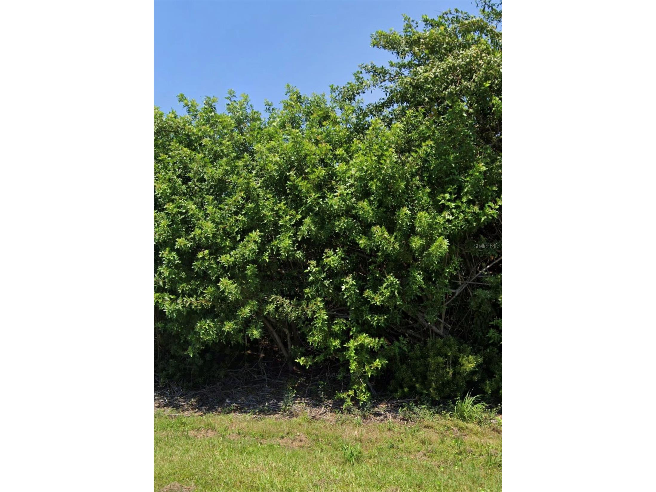 11082 Carnegie Avenue Englewood FL 34224 U8207230 image3