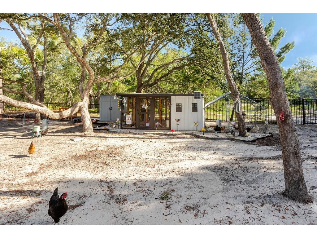 11083 Maybird Avenue Weeki Wachee FL 34613 W7887755 image80