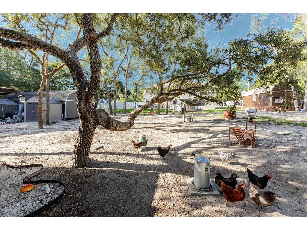 11083 Maybird Avenue Weeki Wachee FL 34613 W7887755 image82