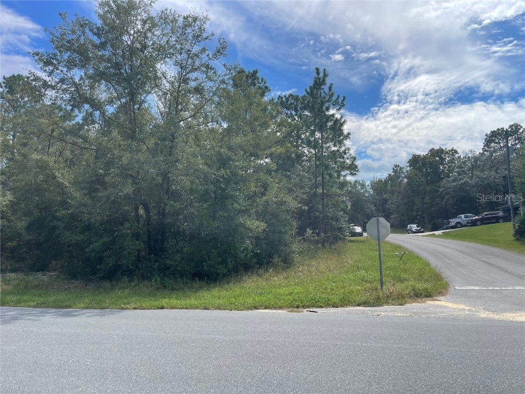 11083 N Tigerwood Terrace Citrus Springs FL 34434 O6252724 image1