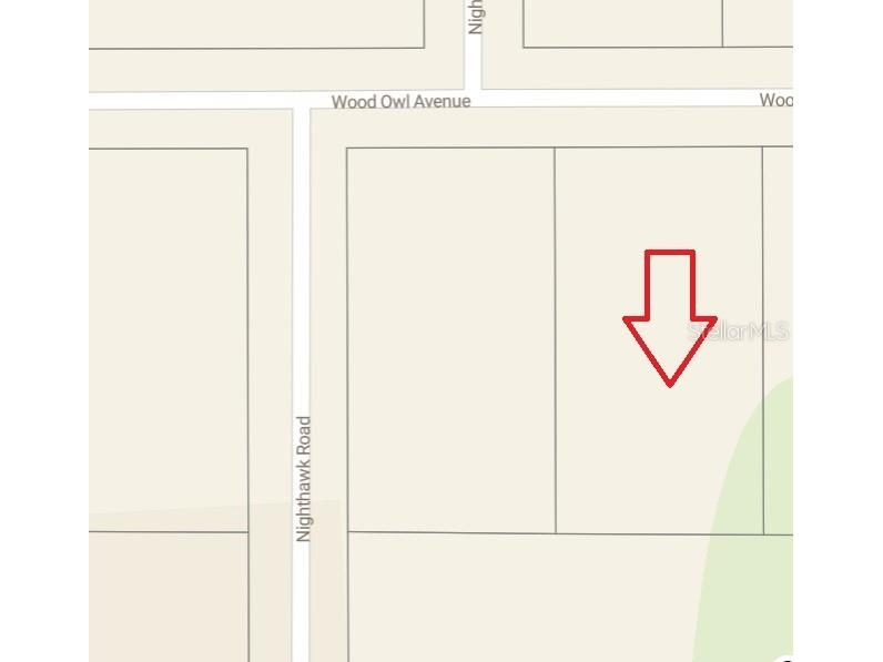 11086 Wood Owl Avenue Weeki Wachee FL 34614 TB8373702 image1