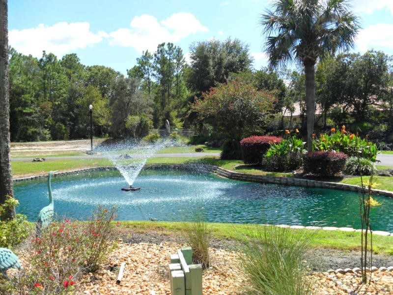 11087 SW 77th Court Ocala FL 34476 OM721866 image26