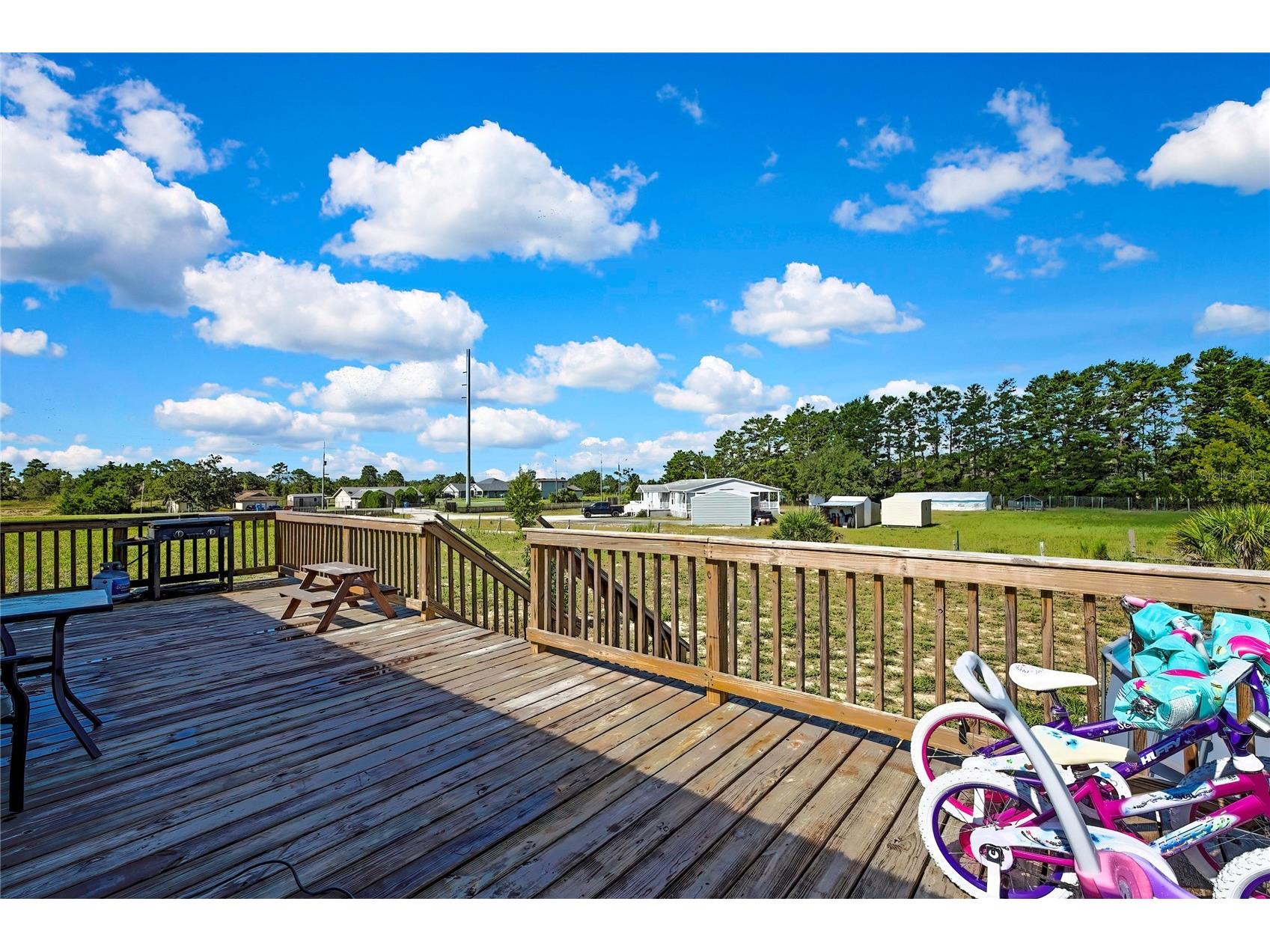11089 Fulmar Road Weeki Wachee FL 34614 W7877982 image3