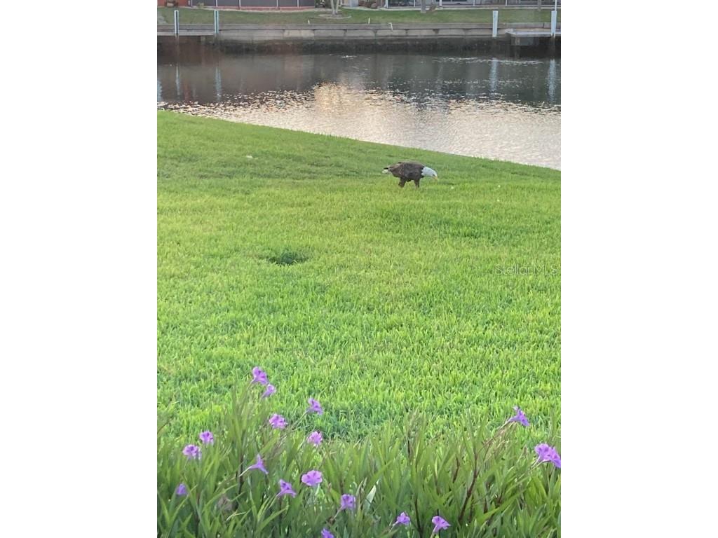 1109 Appian Drive Punta Gorda FL 33950 C7519633 image40