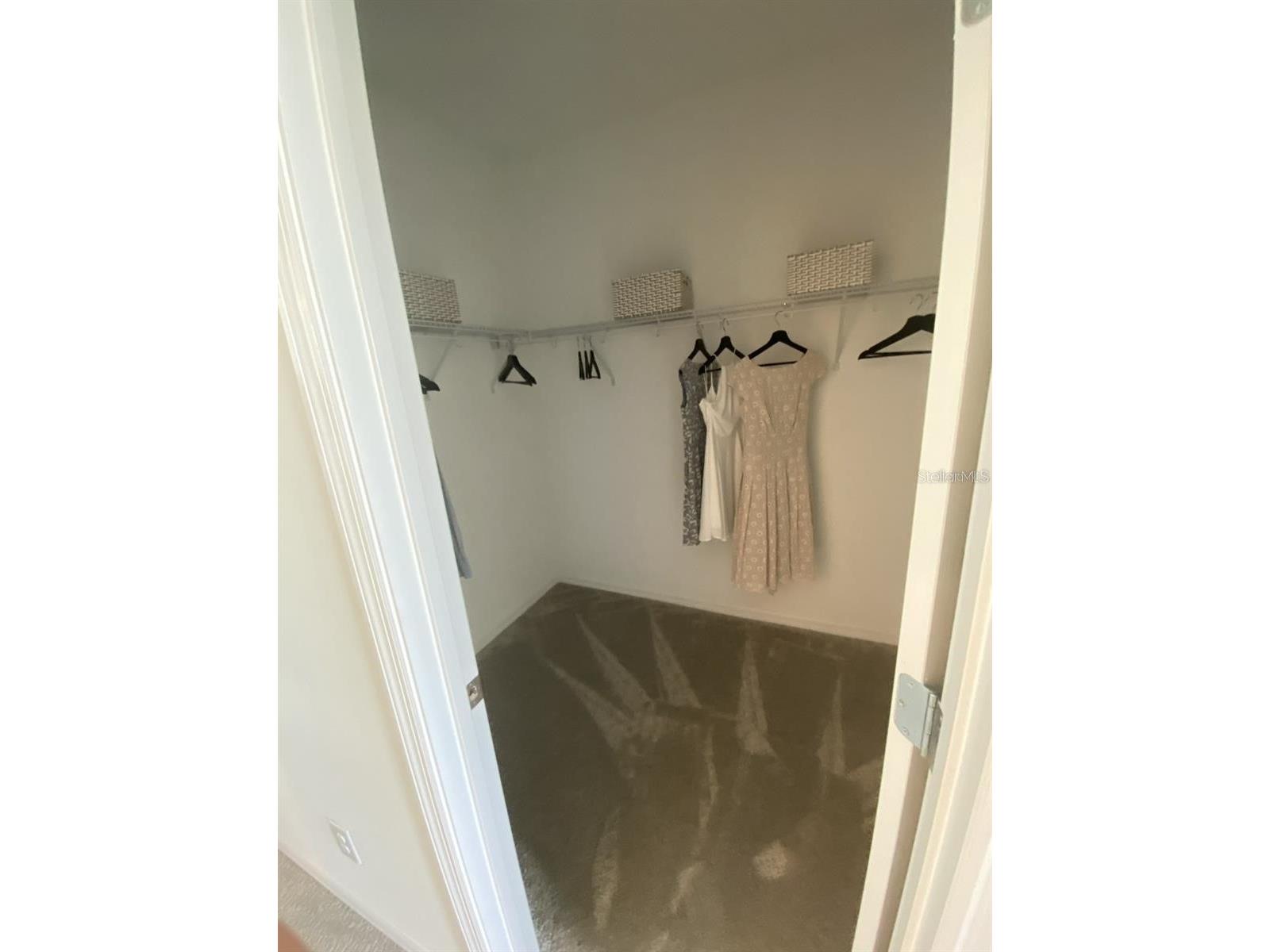 1109 Arbour Verde Court Tampa FL 33613 TB8520445 image19